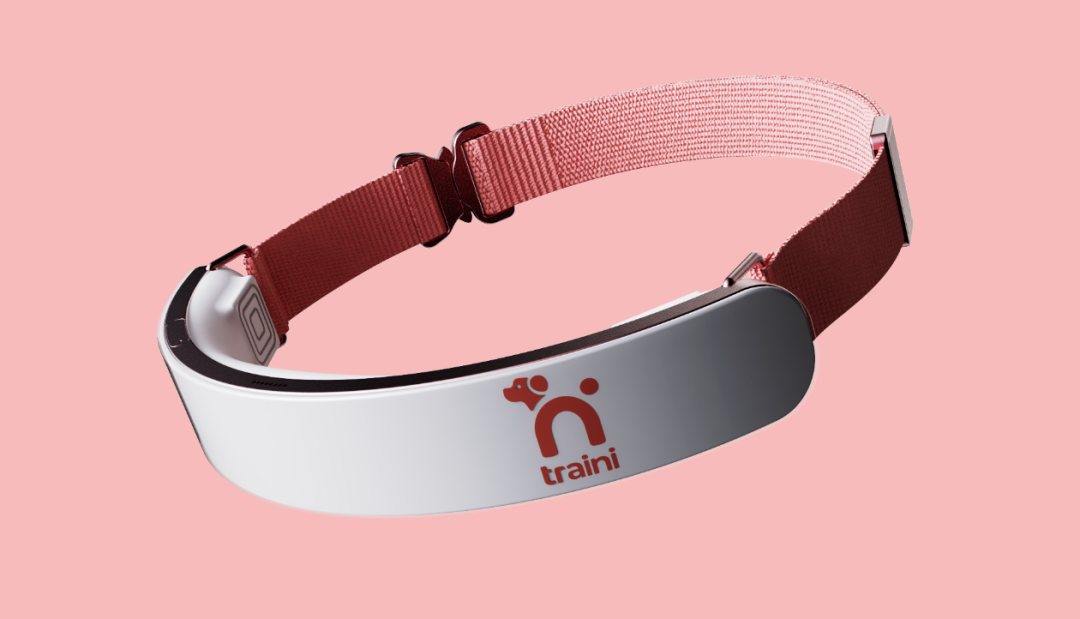 Traini
