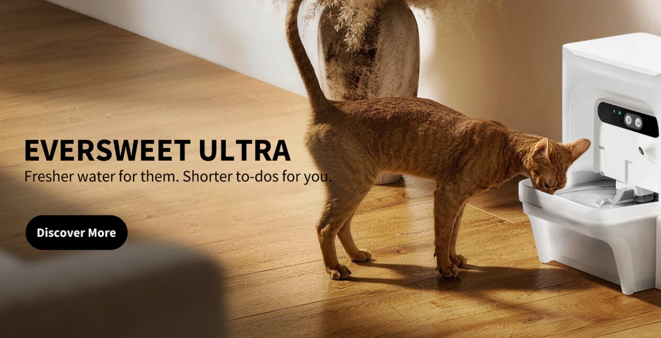 Petkit Visual AI Feeder