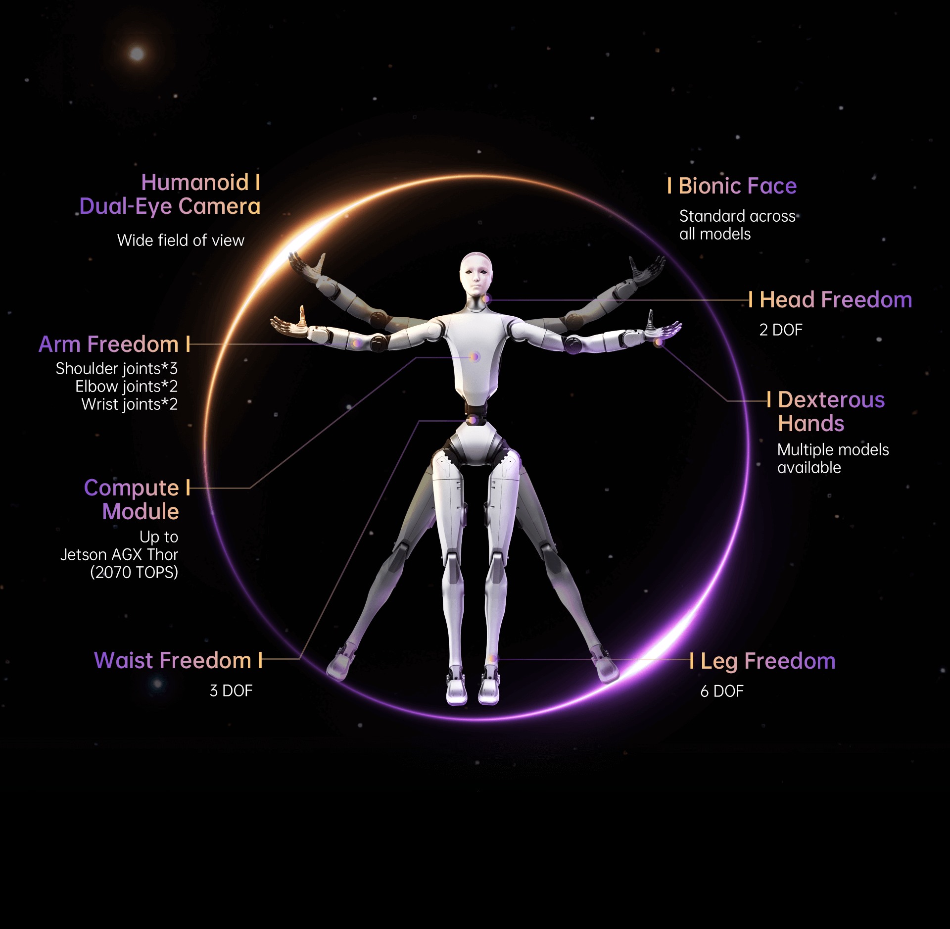 Anatomy and compute diagram